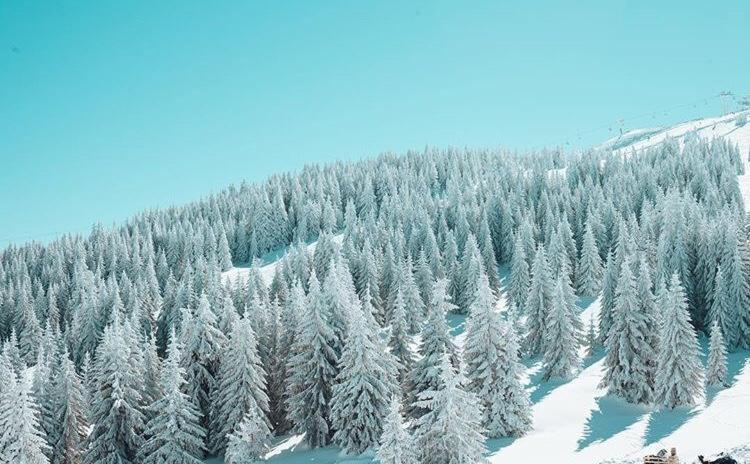 Dream Milmari L12 Apartman Kopaonik Exterior photo